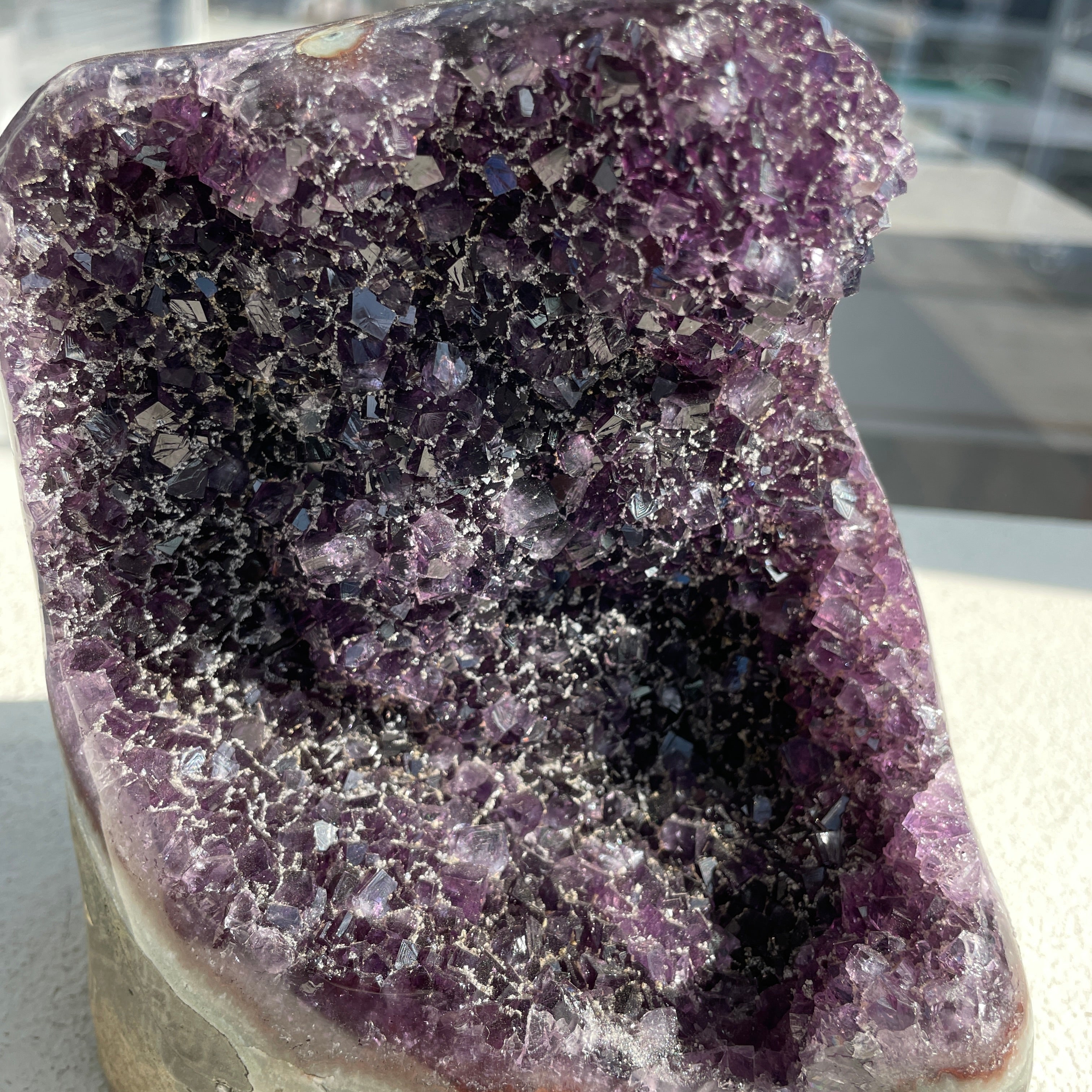 Amethyst - Cut Base Cluster - 81 Amethyst - Cut Base Cluster - 81